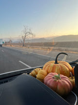 A festive autumn road trip in an RV rental, with gourds on the dash and a beautiful sunset over distant mountains.