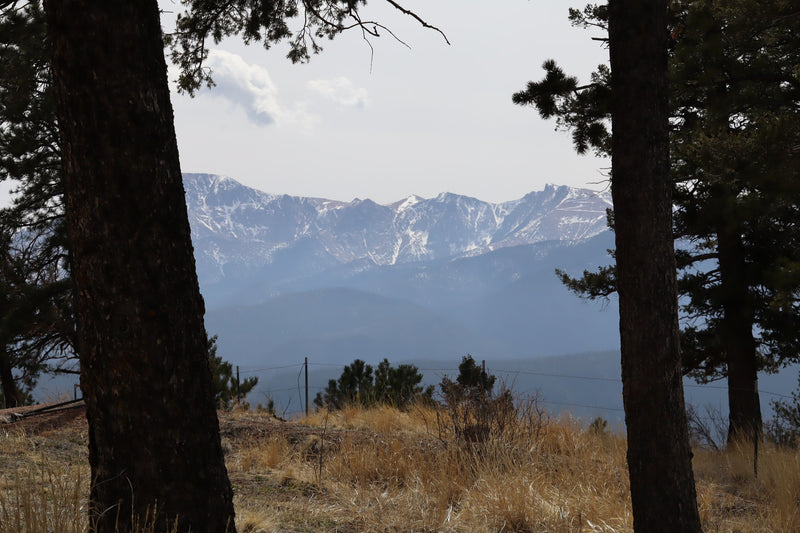 Stunning mountain vista framed by trees, perfect for an RV rental adventure. Snow-capped peaks in distance. — photo 20