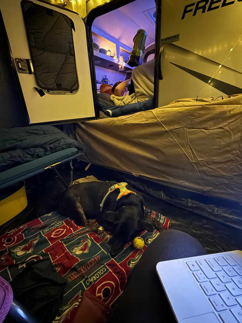 Cozy evening inside an RV rental: a black dog sleeps on an Avalanche blanket, while a person relaxes with a laptop. Perfect camping night. — photo 7