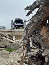 An RV rental van rests on a sandy bluff, its rear open to a cozy bed. Massive driftwood and roots dominate the beach foreground.