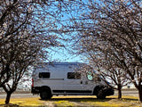 White RV rental camper van parked between two trees covered in white blossoms, under a clear blue sky.