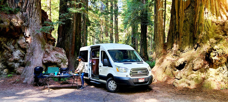 An RV rental van is parked in a lush redwood forest campsite. A person prepares food at an outdoor table amidst giant trees.