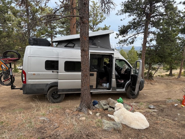 RV rental camper van parked in a forest campsite with a bike rack & dog relaxing nearby. Pop-top up.