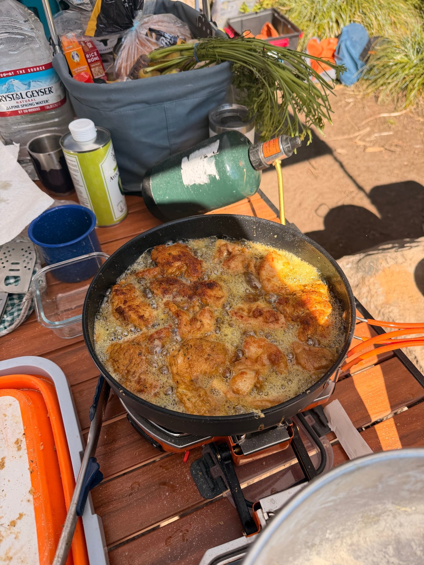 Outdoor cooking on an RV rental trip: Frying golden chicken in a pan on a portable propane stove. — photo 18