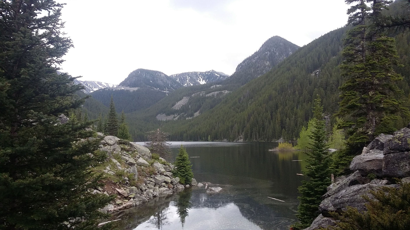 4WD Winnebago Revel 44E "Rosie" Unlimited Miles Montana + Starlink