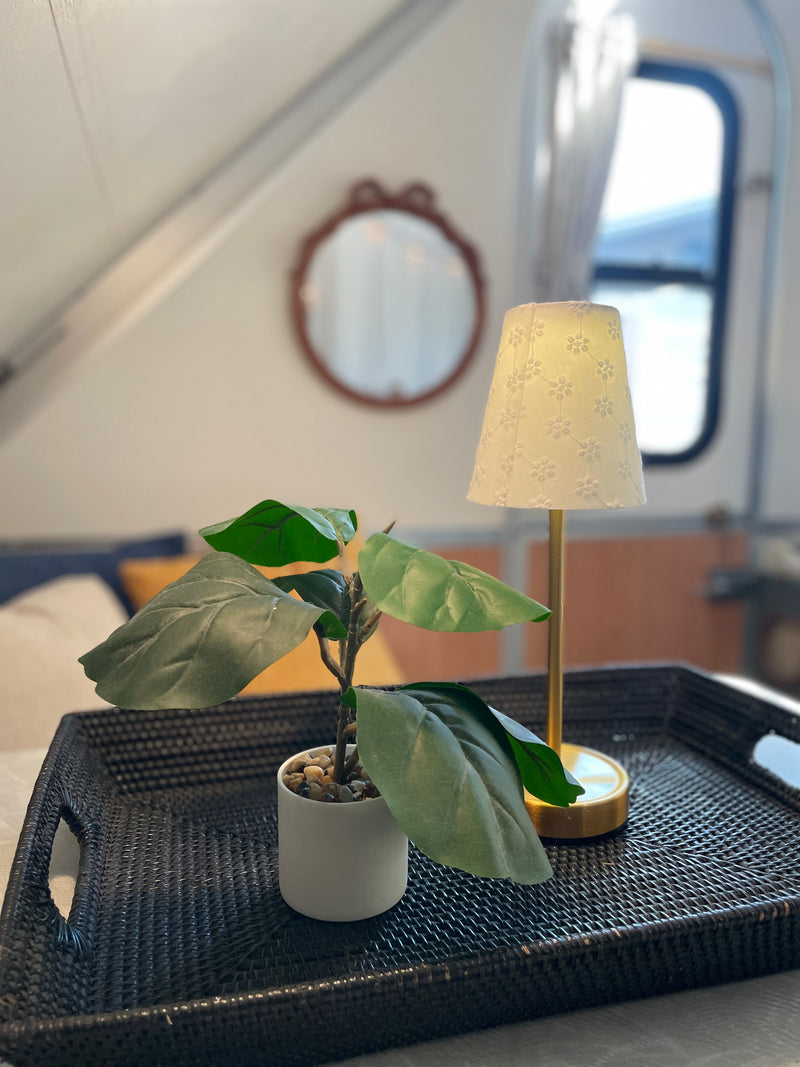 A-Frame Adventure Awaits! Free Delivery TO SUN N FUN — photo 7