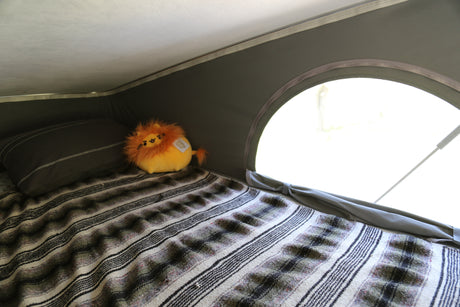 Enjoy a cozy night in your RV rental! This comfy bed with a striped blanket and lion plush awaits your adventure.