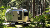 Shiny silver Airstream rv rental nestled in a sun-dappled forest campground, surrounded by tall trees and ferns.