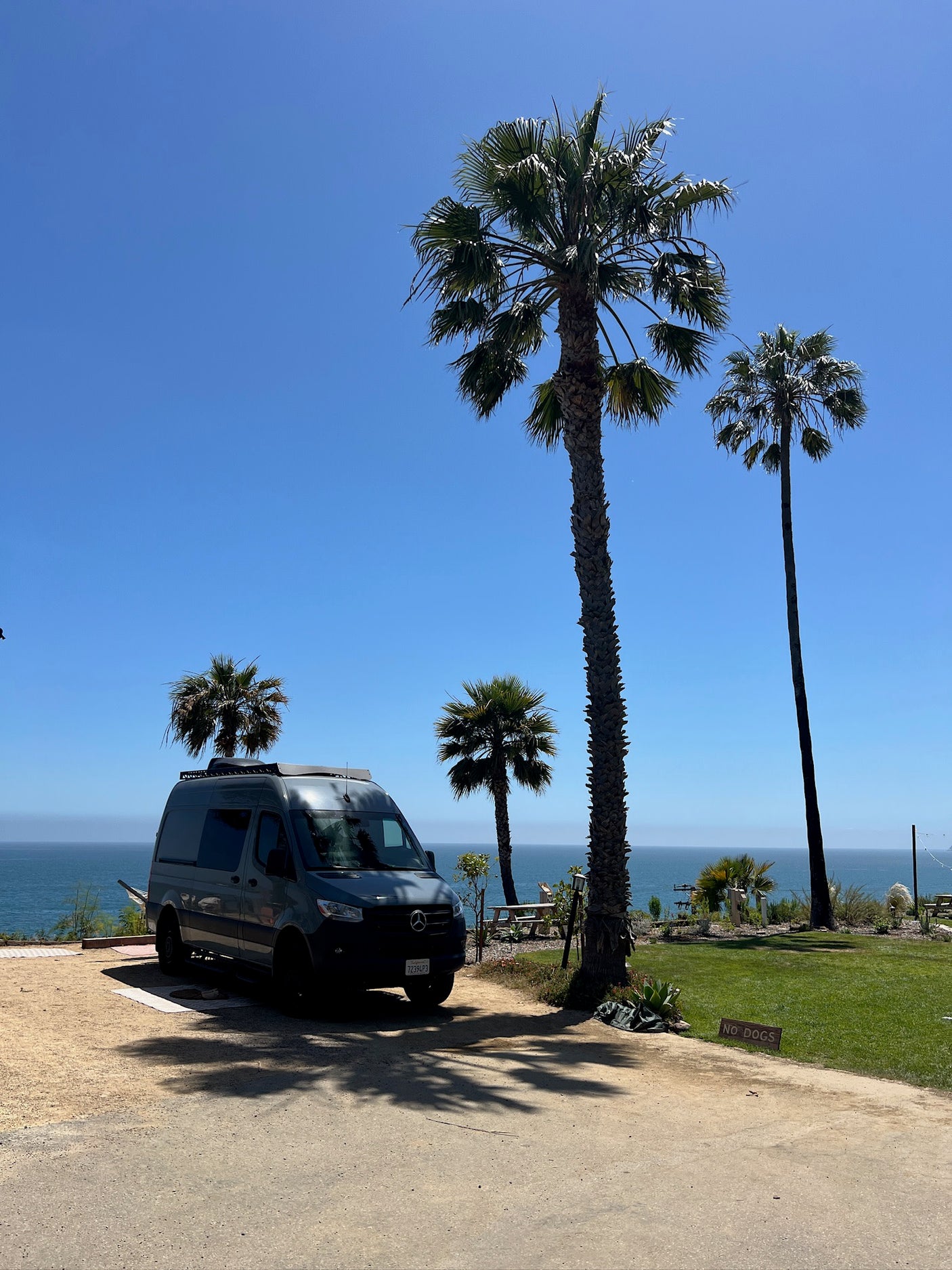An rv rental van parked at a scenic oceanfront campsite with palm trees under a clear blue sky.