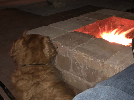 Cozy night: A fluffy dog and person by a crackling fire pit, perfect for an RV rental getaway ambiance.