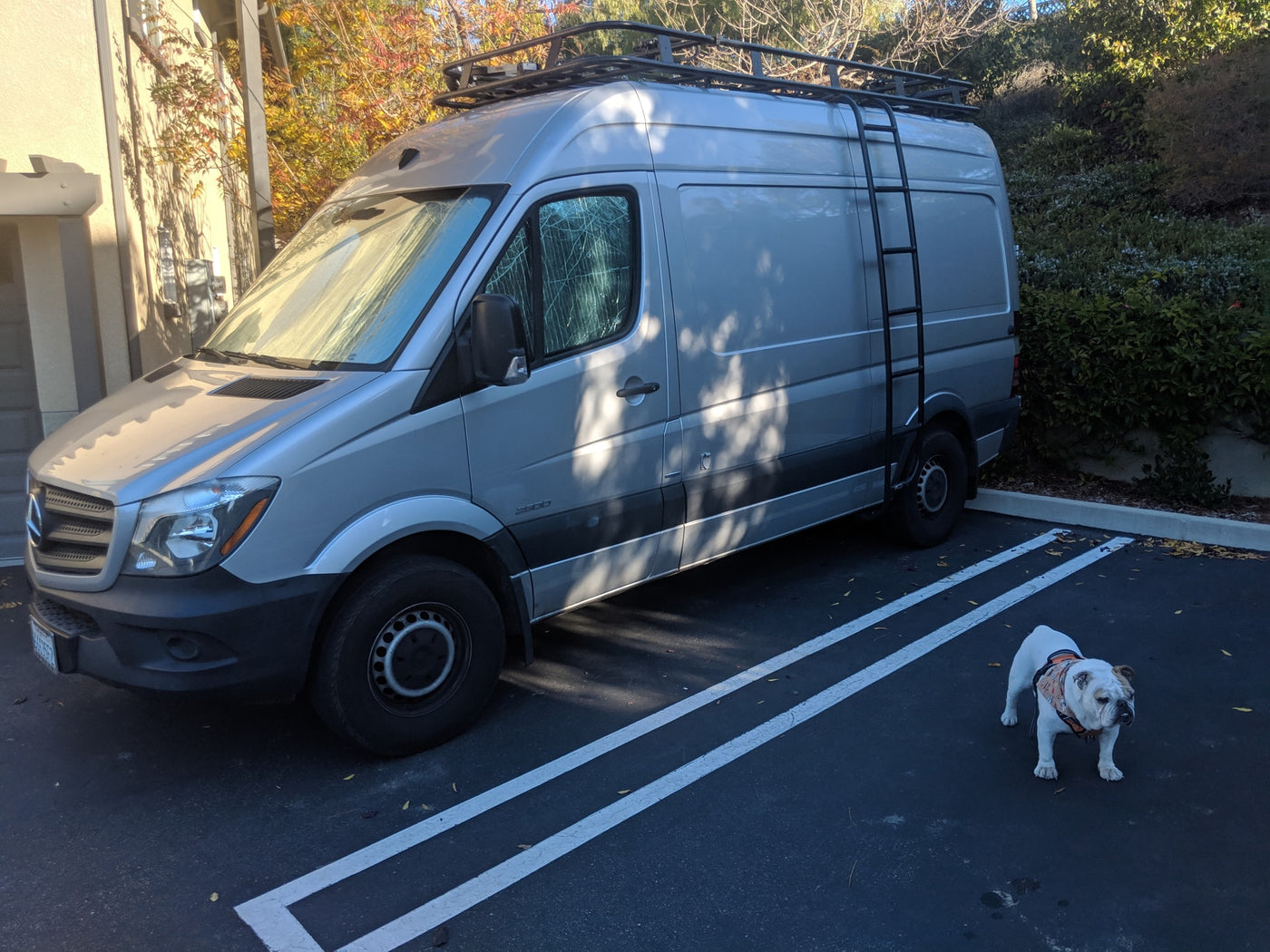 A silver Mercedes Sprinter van, equipped as an RV rental with a roof rack and ladder, parked outdoors. A white bulldog stands in the foreground. — photo 9