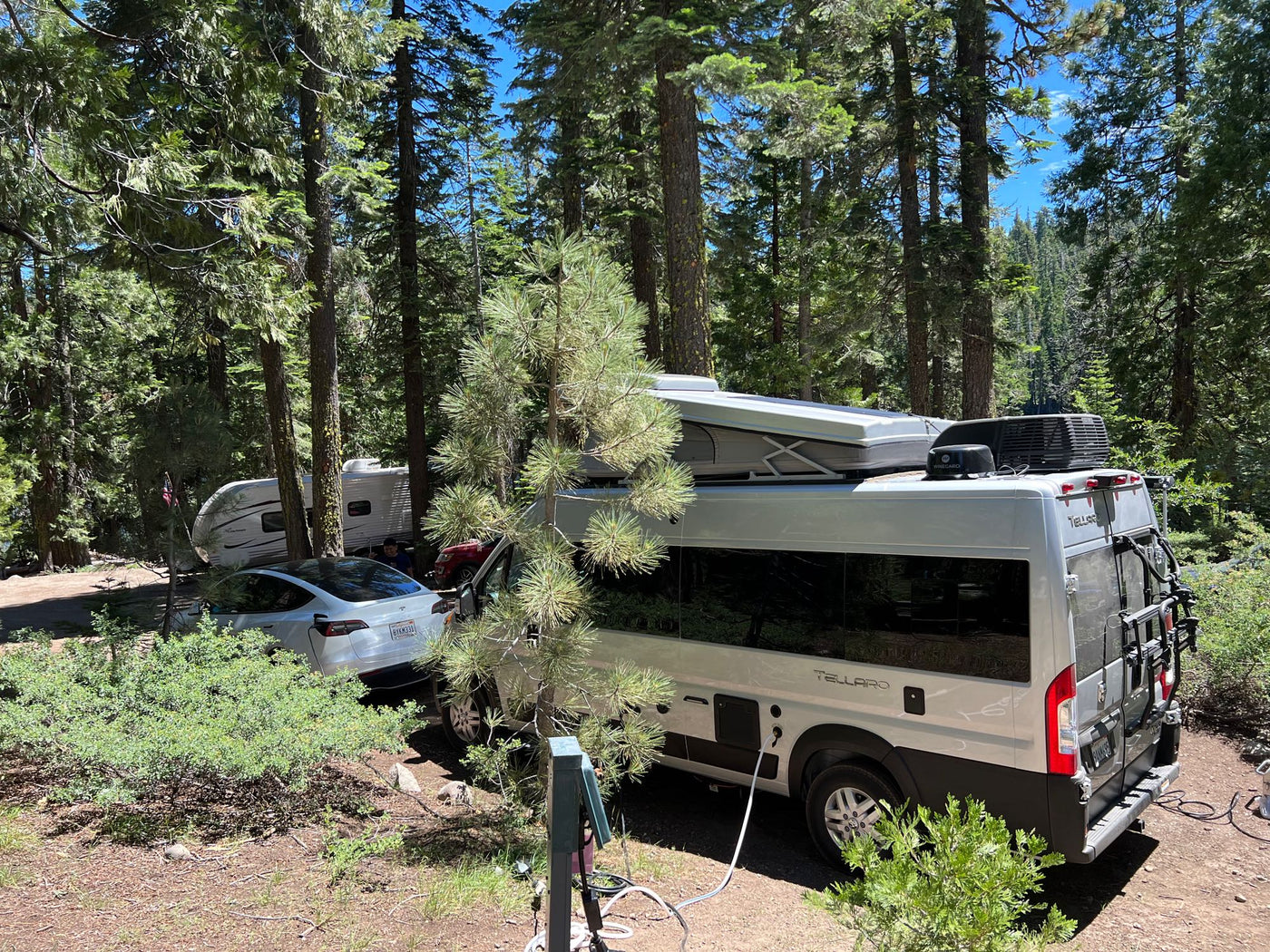  and rear windows — photo 20