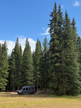 A dark grey RV rental is perfectly nestled in a sunny forest clearing, surrounded by tall pine trees under a blue sky.