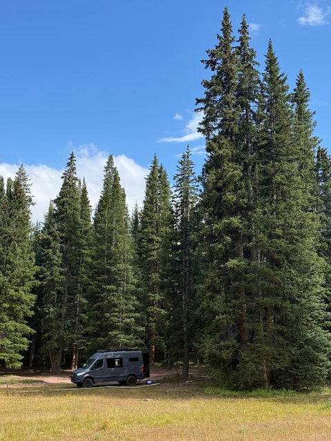 Mira: The all-season, family-friendly 4x4 Tourig Sprinter Van! — photo 3