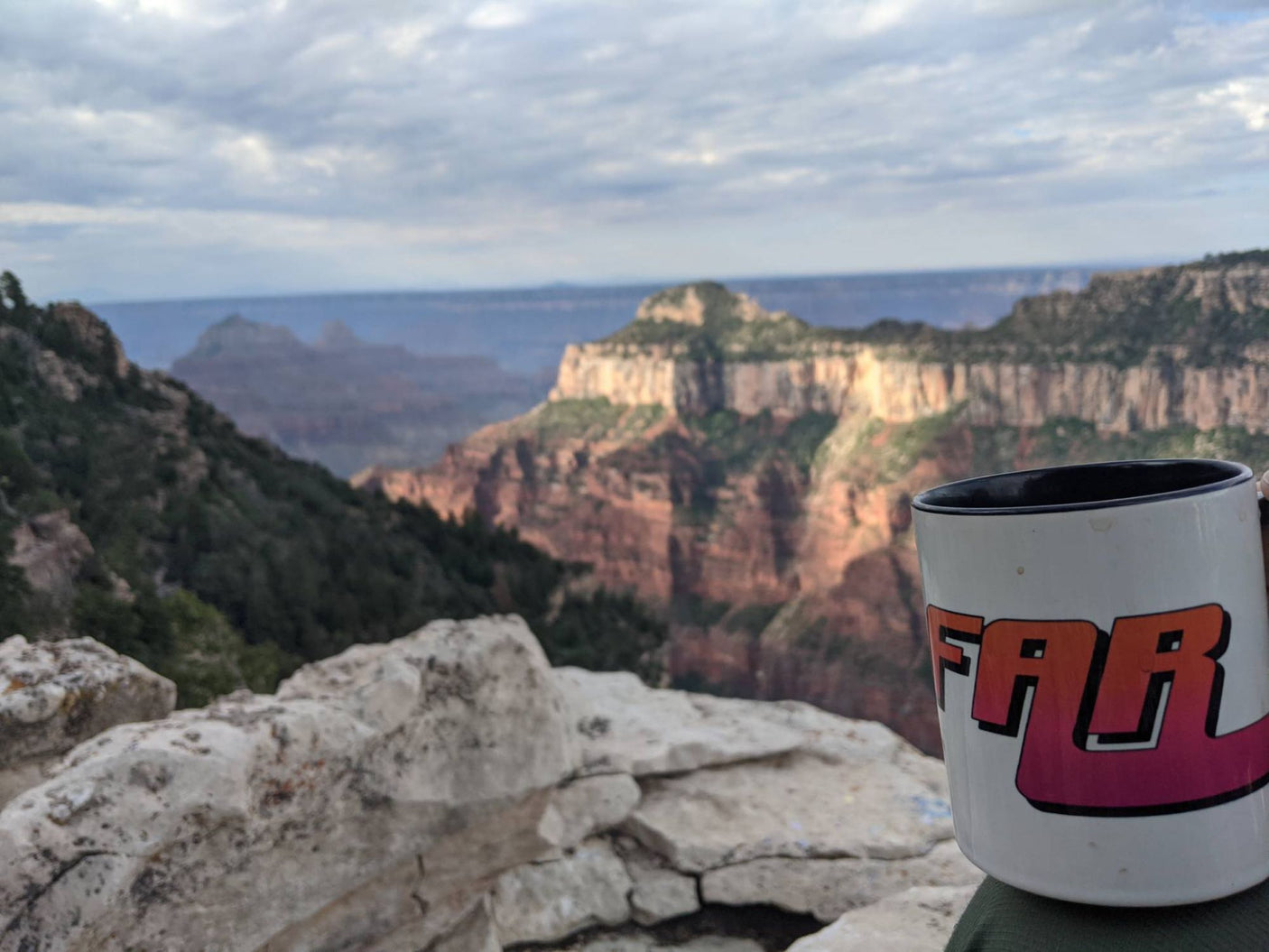 A white mug with 'FAR' against a vast canyon vista. Imagine these amazing sights on your RV rental adventure!