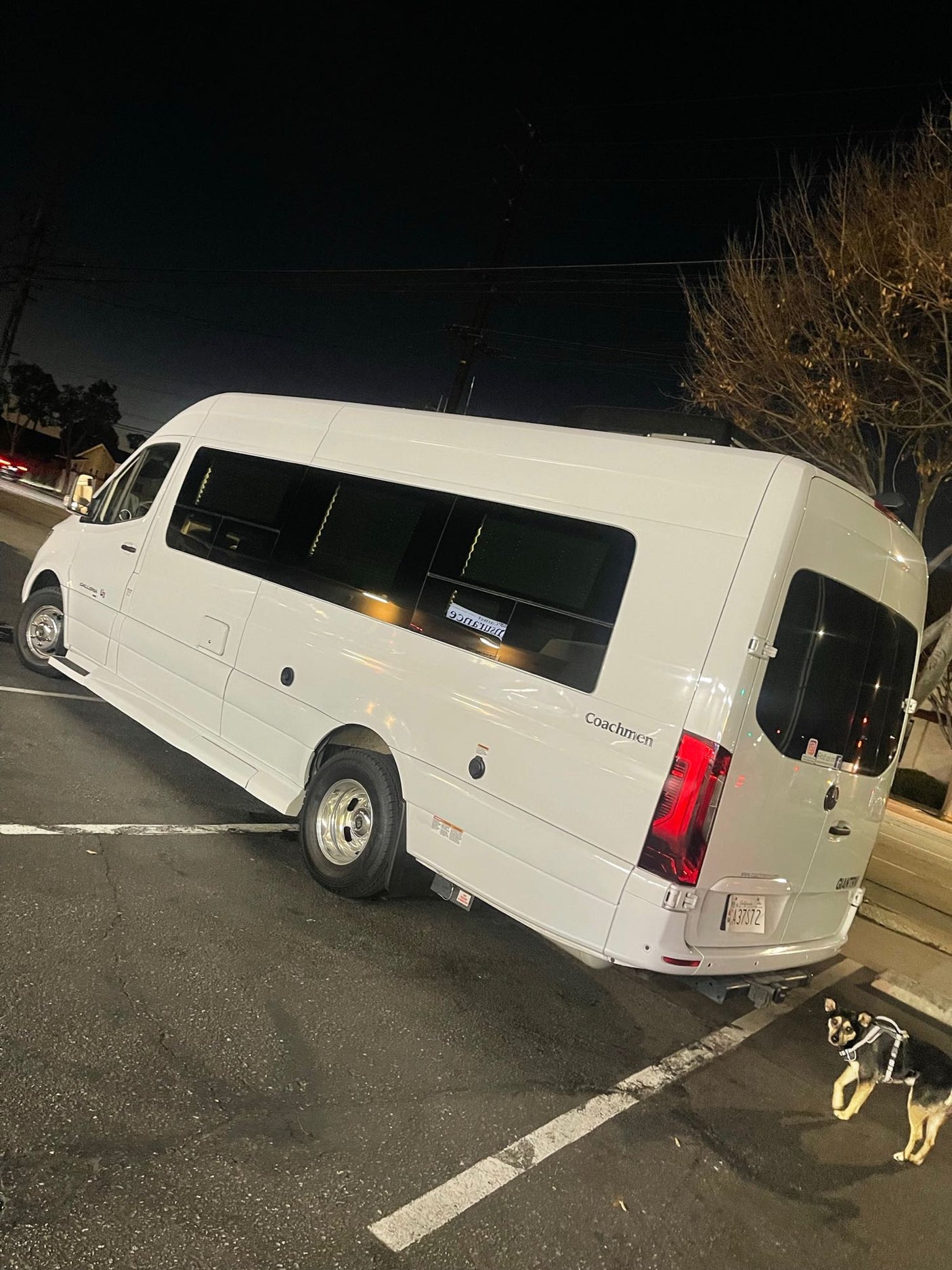 White Coachmen Galleria camper van, perfect for RV rental adventures, parked at night with a small dog.