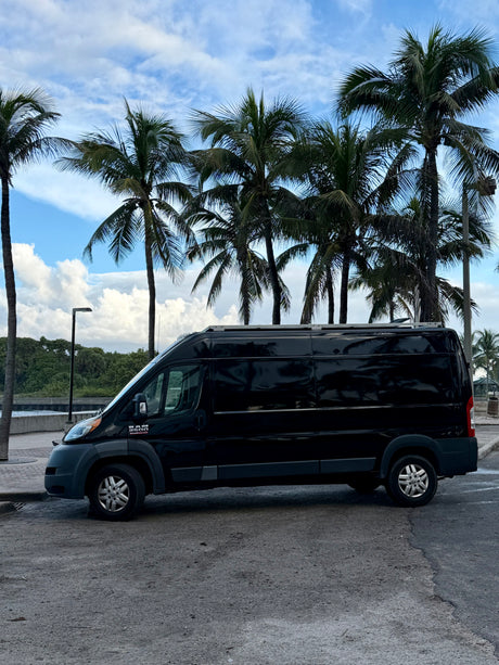 A black Ram ProMaster van, a popular RV rental option, parked under palm trees on a tropical day.