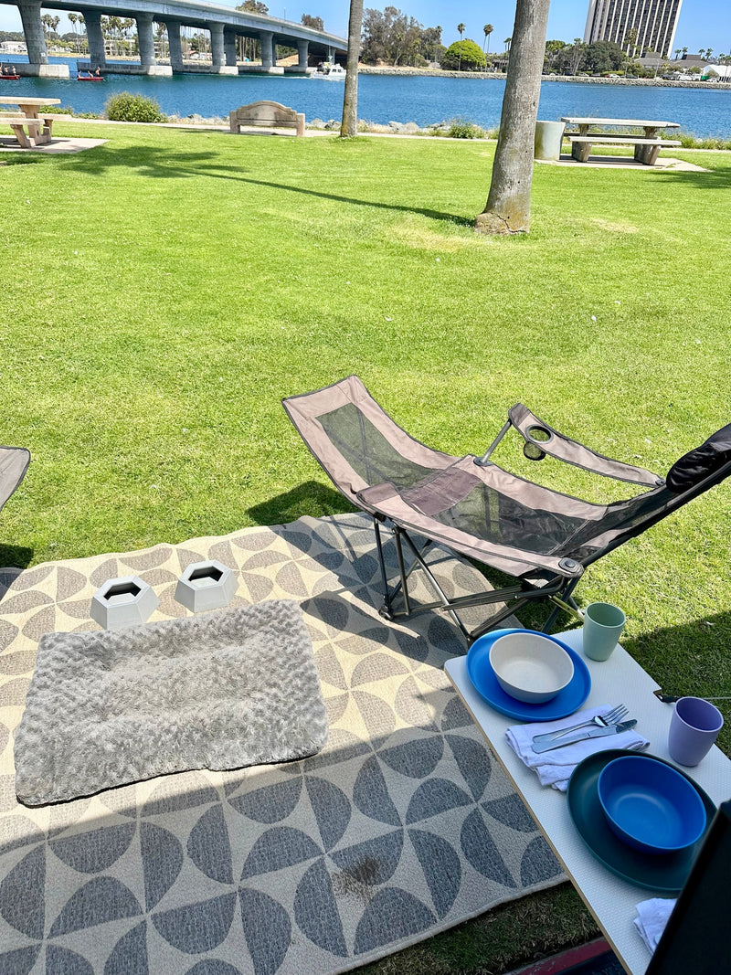 An RV rental offers this peaceful park view with a picnic setup: rug, chairs, dining essentials, and pet bowls. — photo 6