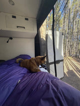Solar-powered, Starlink-connected, Dog-friendly Adventure Van