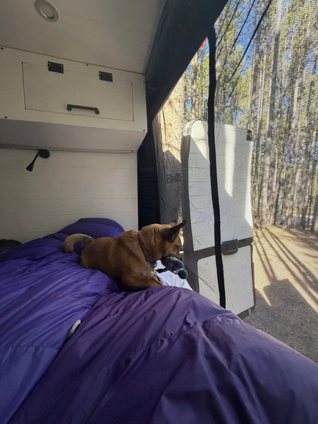 Solar-powered, Starlink-connected, Dog-friendly Adventure Van