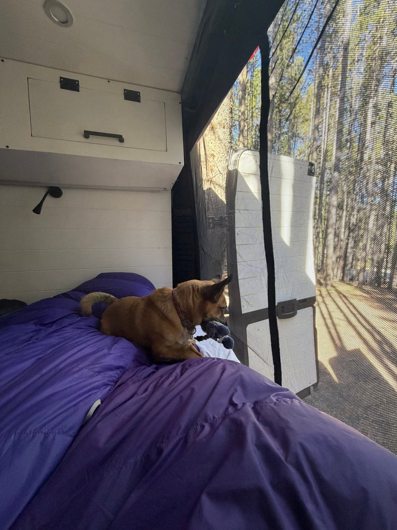 Solar-powered, Starlink-connected, Dog-friendly Adventure Van — photo 5