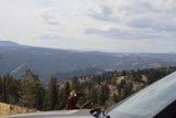 Scenic mountain vista from a car, ideal for an RV rental journey. Layered forests, hazy hills, and cloudy sky ahead.