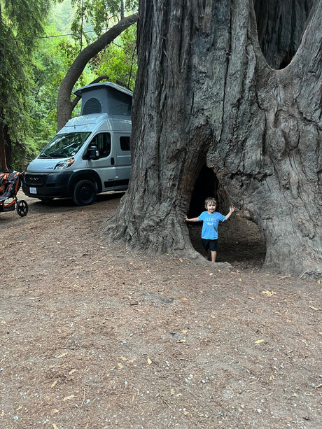 RV rental fun: Child peeks from a giant hollow tree, next to a camper van at a serene forest campsite.