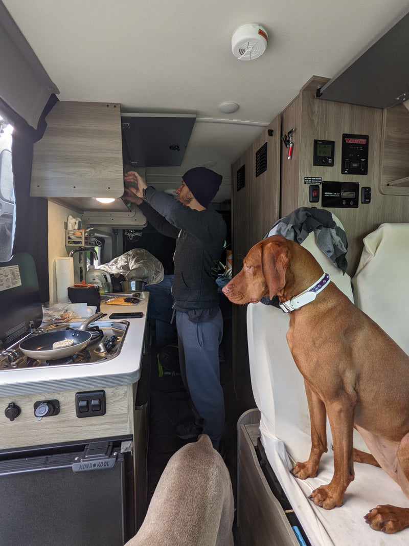 A person cooks in an rv rental's camper van kitchen. Two dogs, including a Vizsla, relax, enjoying pet-friendly travel. — photo 3