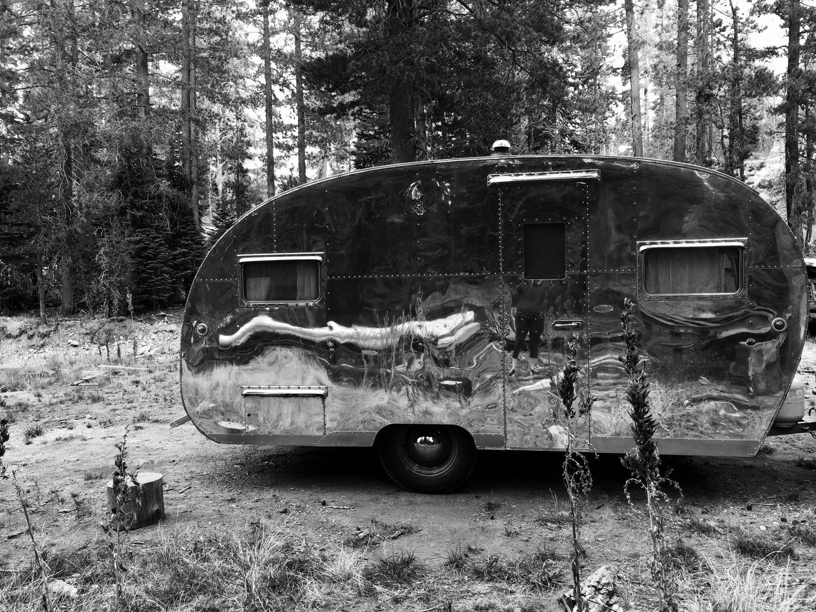 1950 Vintage Charm