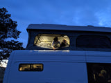 Two kids peer from a lit pop-top camper, an **RV rental** perfect for evening adventures.