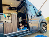 Pet-friendly RV rental journey! Two dogs relax inside a gray camper van with its side door open, ready for adventure.