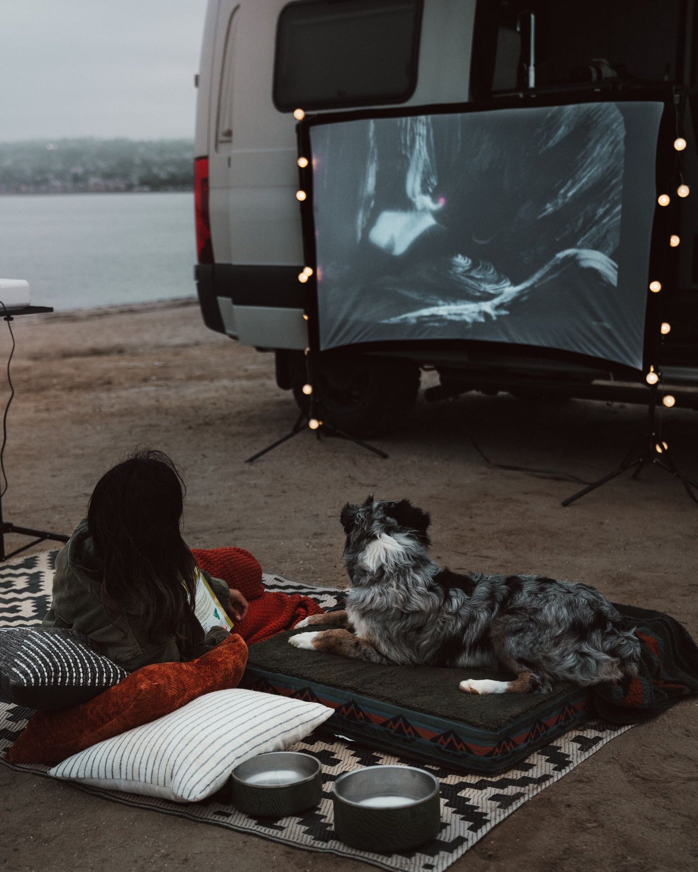  dog relaxes on its bed in the van's open back.|Step into this RV rental camper van — photo 4