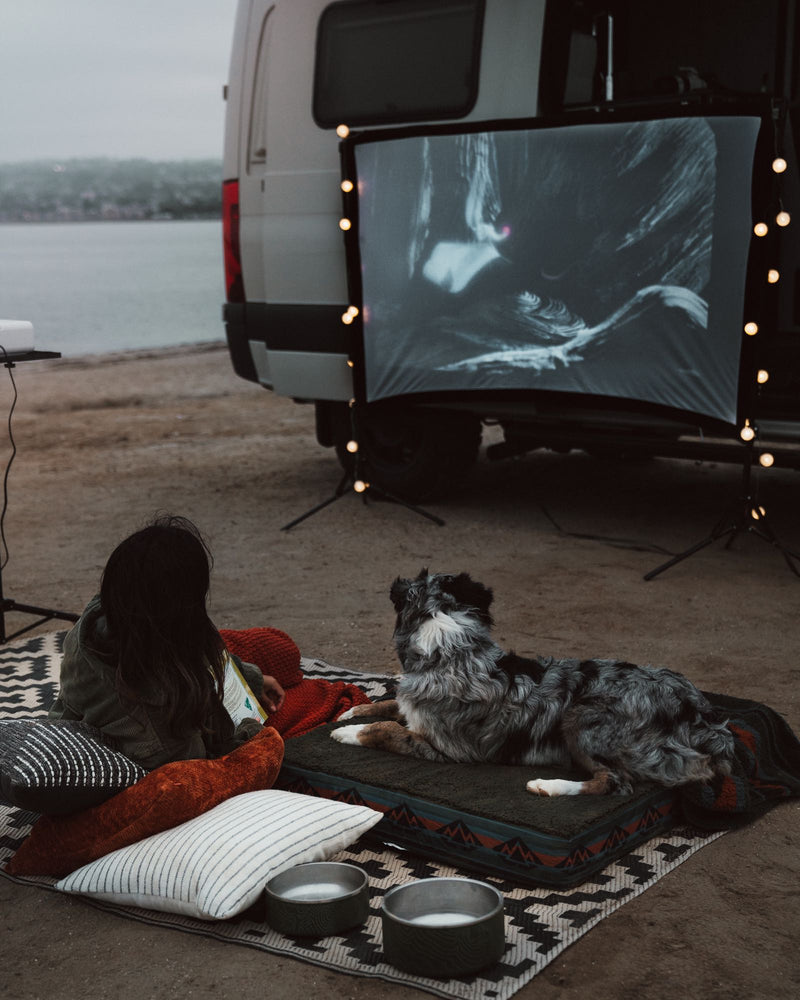  dog relaxes on its bed in the van's open back.|Step into this RV rental camper van — photo 4