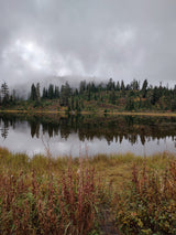 Explore tranquil misty forests & a reflective lake on your RV rental adventure. Autumn hues adorn the trees and foreground grasses.