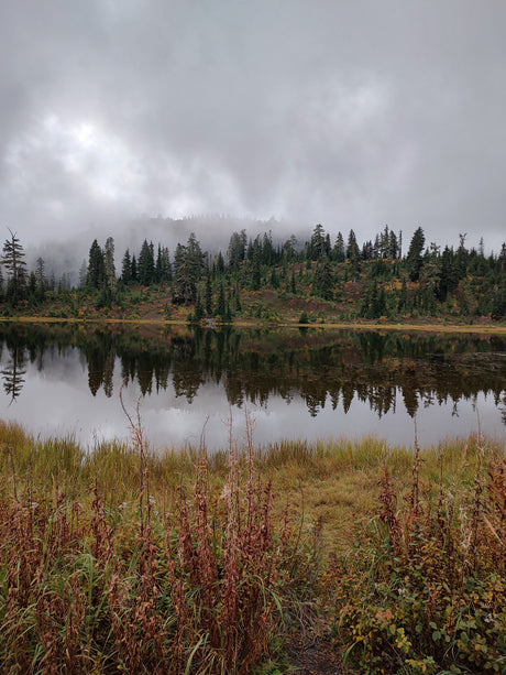 Explore tranquil misty forests & a reflective lake on your RV rental adventure. Autumn hues adorn the trees and foreground grasses.
