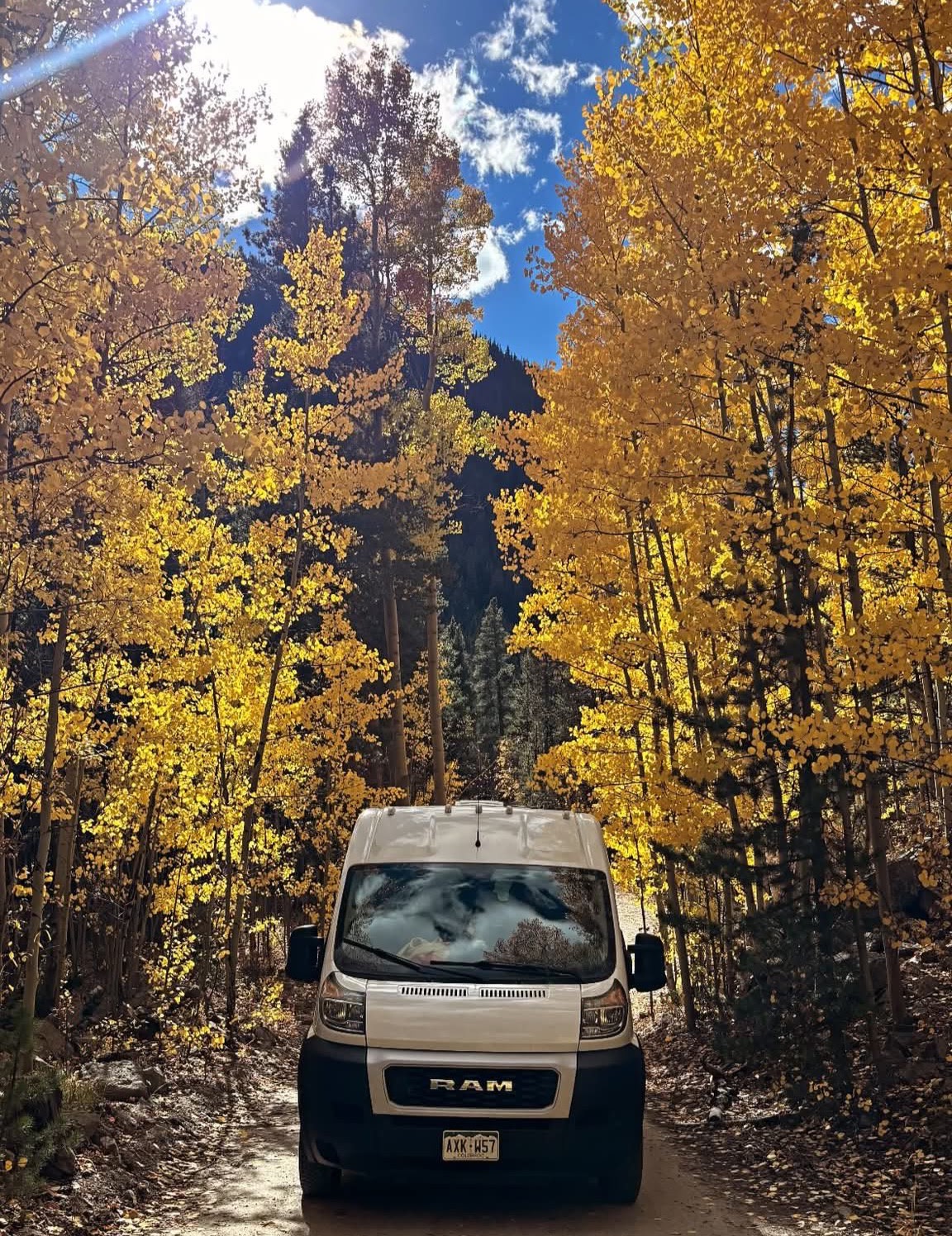 The Buddha Van (Four Season Van - built for winter!) — photo 2