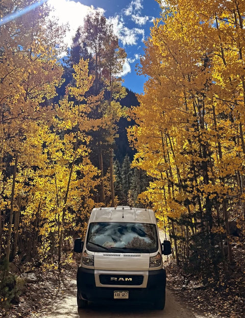 The Buddha Van (Four Season Van - built for winter!) — photo 2