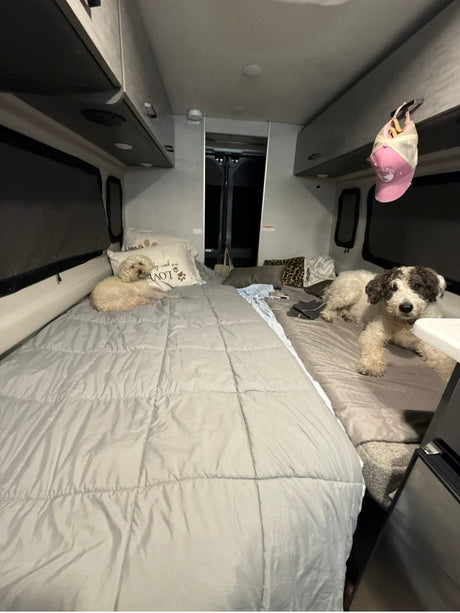 Relaxing in our RV rental! Two dogs lounge on beds within the cozy interior, featuring overhead storage and windows.