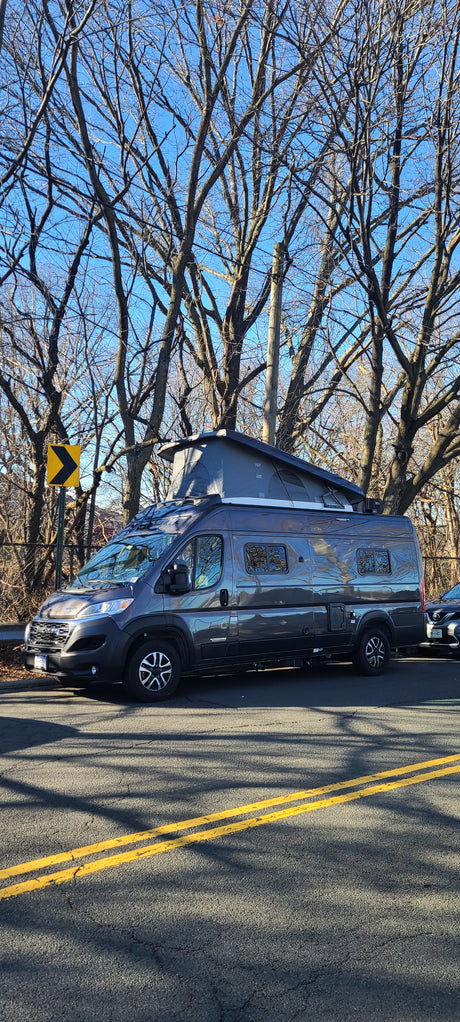 Grey camper van, possibly an **rv rental**, with a pop-top roof parked roadside under leafless trees on a sunny day.