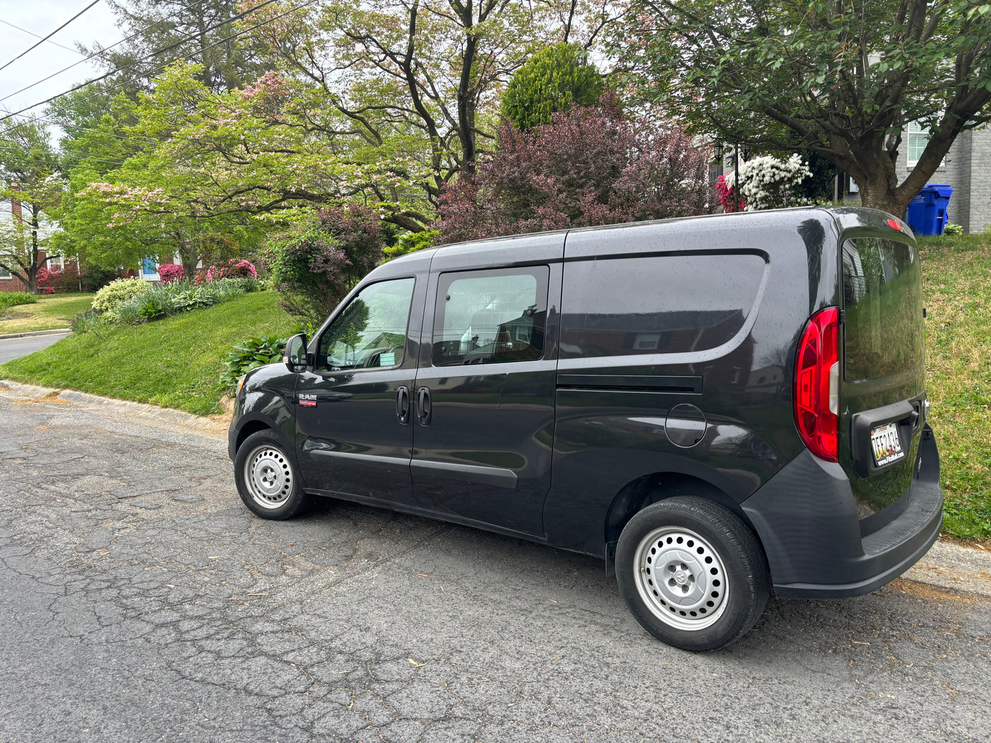 Black Ram ProMaster City van parked on street with flowering trees. Ideal for cargo, not an RV rental.