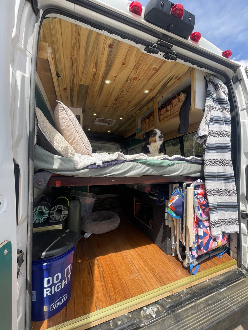The Buddha Van (Four Season Van - built for winter!) — photo 7