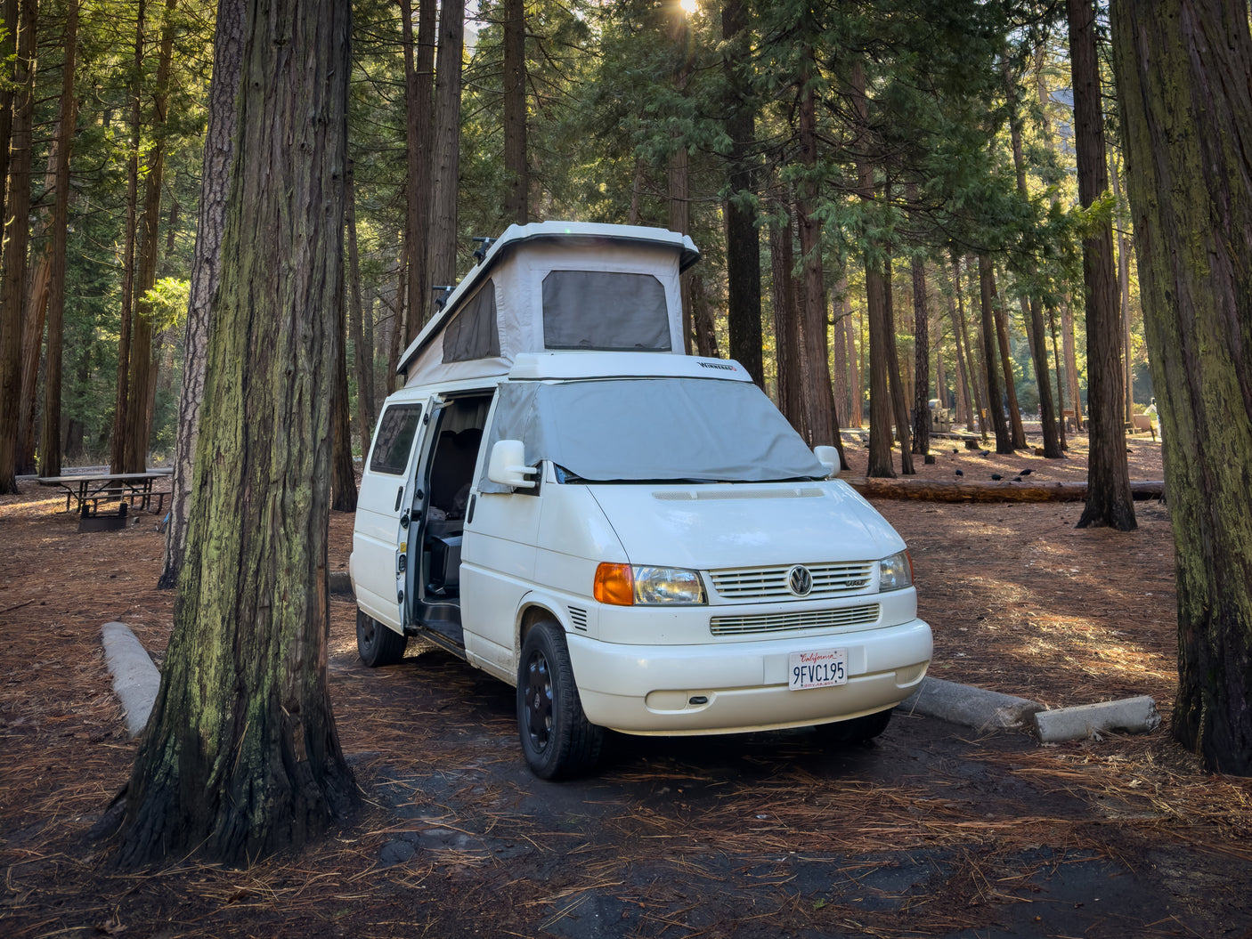 White pop-top VW Eurovan rv rental nestled in a sunny forest campsite, surrounded by towering trees.