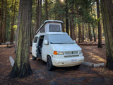 White pop-top VW Eurovan rv rental nestled in a sunny forest campsite, surrounded by towering trees.