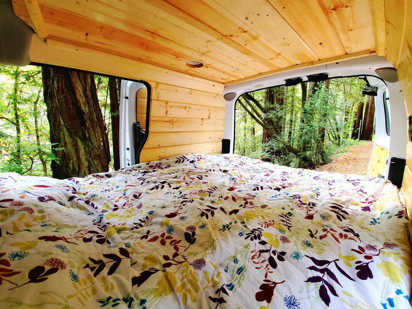 Cozy bed inside a wooden rv rental camper van, with open doors showcasing a majestic redwood forest. — photo 8