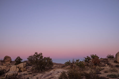 Experience tranquil desert beauty. A vibrant pink and lavender sunset over sparse rocks and brush. Ideal for an RV rental getaway.