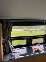 RV rental view: Two elk graze in a green field, seen from inside an RV with a counter, phone, and sink.