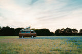This brown pop-top camper van, perfect for RV rental, is parked in a vast field of blue flowers.