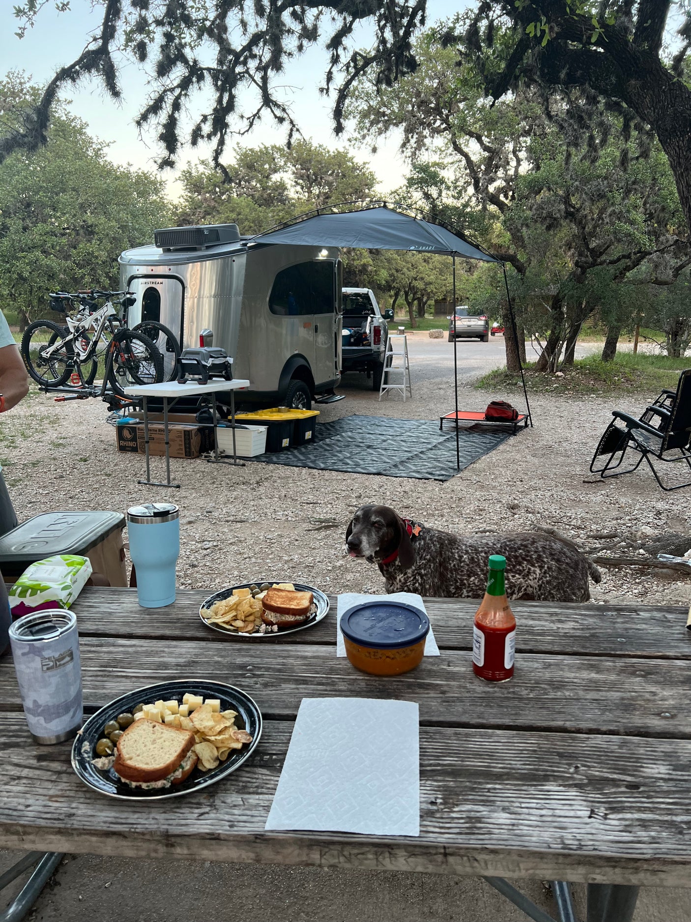 RV rental camping scene: A silver Airstream with bikes, an awning, and a picnic table with food. A dog sits by the table.