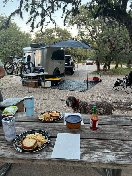 RV rental camping scene: A silver Airstream with bikes, an awning, and a picnic table with food. A dog sits by the table.