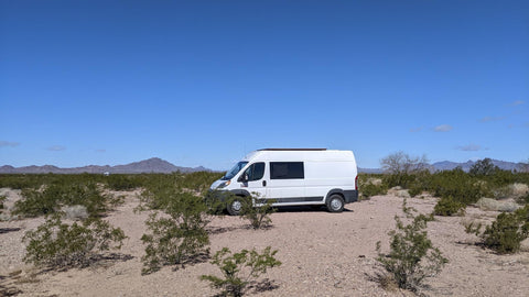 "Vinny" Van Gogh overland rental